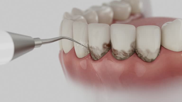 Reliable Dental contractor in Calhoun City, MS by Dentist Open Now